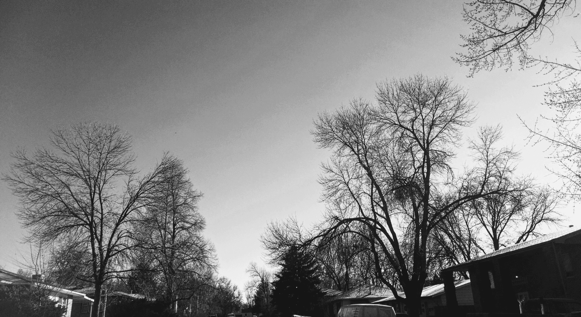 Screen-Shot-2017-01-01-at-9.48.17-AM Screen-Shot-2017-01-01-at-9.48.17-AM